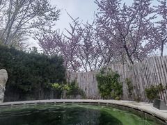 -大连金石滩绿发温泉假日酒店