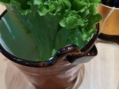 -牛腩之旅·牛腩牛杂煲(光启城美食城店)