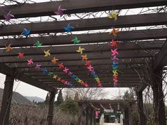 -白马涧龙池景区