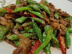 -石老头关东饺子王·东北菜(嘉华鑫城店)