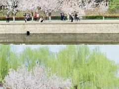 -元大都城垣遗址公园