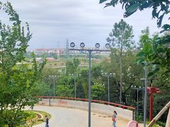 景点-王借岗森林公园
