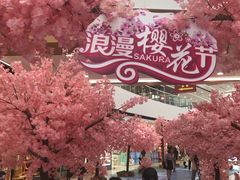 -上海颛桥万达广场