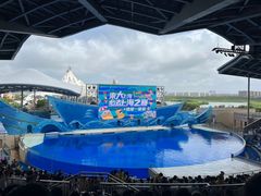 -上海海昌海洋公园
