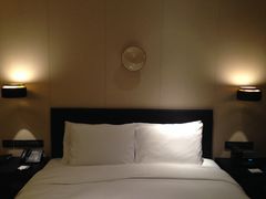 IMG_1815-上海璞麗酒店