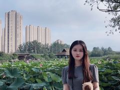 -前关湿地公园