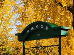 -玲珑塔公园