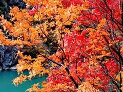 -叠溪松坪沟景区