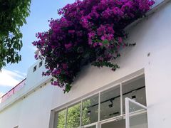 -收获咖啡HARVEST RESERVE(苍山店)