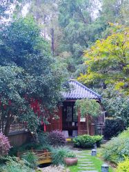 -馨月汇·一悦馨香月子中心(前滩店)