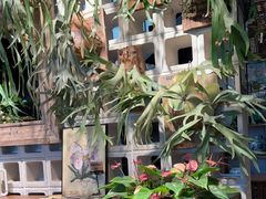 -自由生长植物工作室(深港花卉中心店)