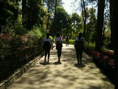 -铁山坪森林公园