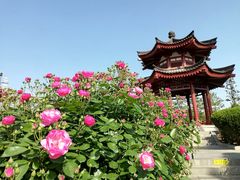 -大慈恩寺(大雁塔)