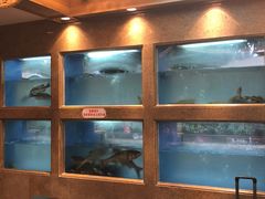 鱼池-湖南人家·家传湖南菜(水围店)