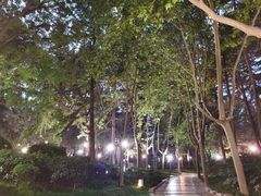 -大雁塔北广场音乐喷泉