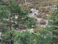 -稻城亚丁景区-冲古草甸