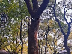 -西园戒幢律寺