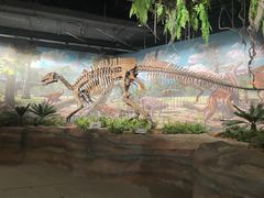 -辽宁古生物博物馆
