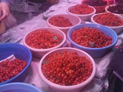 -五里多农博广场