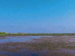 -野鸭湖国家湿地公园