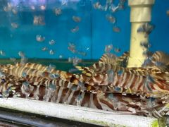 -老钱饭店(后渚港店)