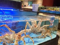 -阿伟海鲜楼·福建菜(延寿店)