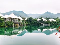 -帐篷客·溪龙茶谷度假酒店