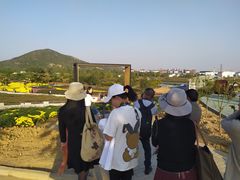 -安徽禾泉小镇