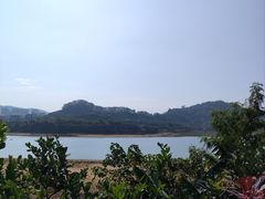 -立新湖公园