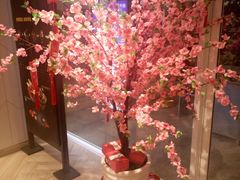 -麦当劳(塔园路店)