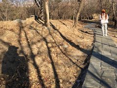 -北京鹫峰国家森林公园