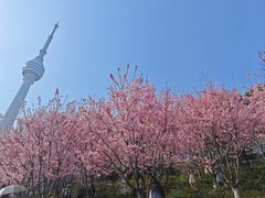 -龟山风景区-龟山电视塔