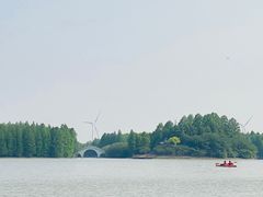 -上海海湾国家森林公园