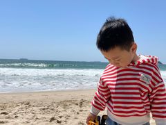 -玫瑰海岸文化旅游度假区