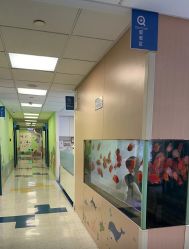 -杭州贝瑞斯美华妇儿医院·早孕·产检·儿科