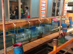 -蓝湾碧波·老字号·疍家非遗海上餐厅