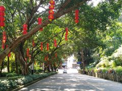 -广州市流溪河国家森林公园