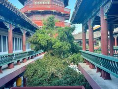 -中国翰园碑林