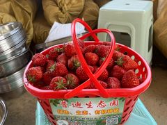 -普迪生态园