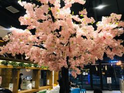 -简影造型·自选烫染接发salon