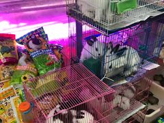 -双季花艺园艺市场(浦东店)