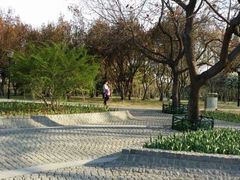 -玲珑塔公园