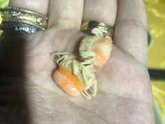 -胖大嫂渔家排档·全海景餐厅(渔村店)