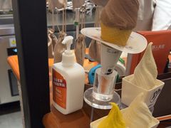 -野人先生Gelato(上海长宁龙之梦店)