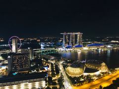 -新加坡瑞士史丹福酒店