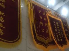 -伟伟宠物医院·CT影像中心·瑞派犬猫综合性门诊(汉口总院)