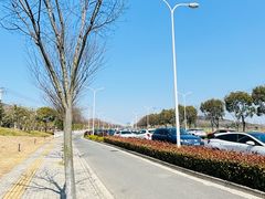 -上海佘山国家森林公园天马山园