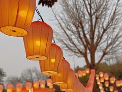 -盘门景区