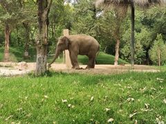 -北京野生动物园