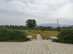 -君乐宝优致牧场